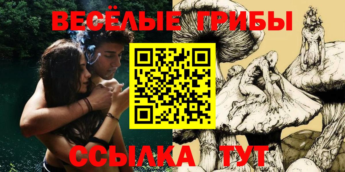Сокол  Псилоцибиновые грибы MAGIC MUSHROOMS  Вход с VPN 